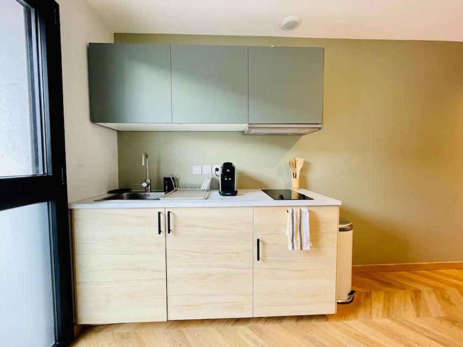 Le Flachet - Climatisation - Wifi Apartment Villeurbanne Bagian luar foto